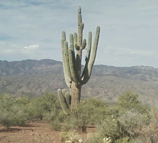 0907140846_0001.jpg