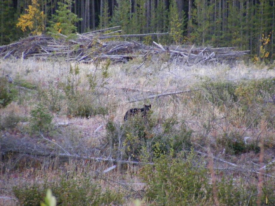 2008_0928huntin0001.jpg