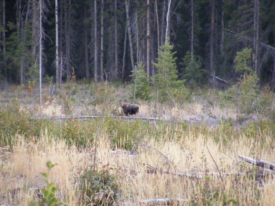 2008_0928huntin0004.jpg