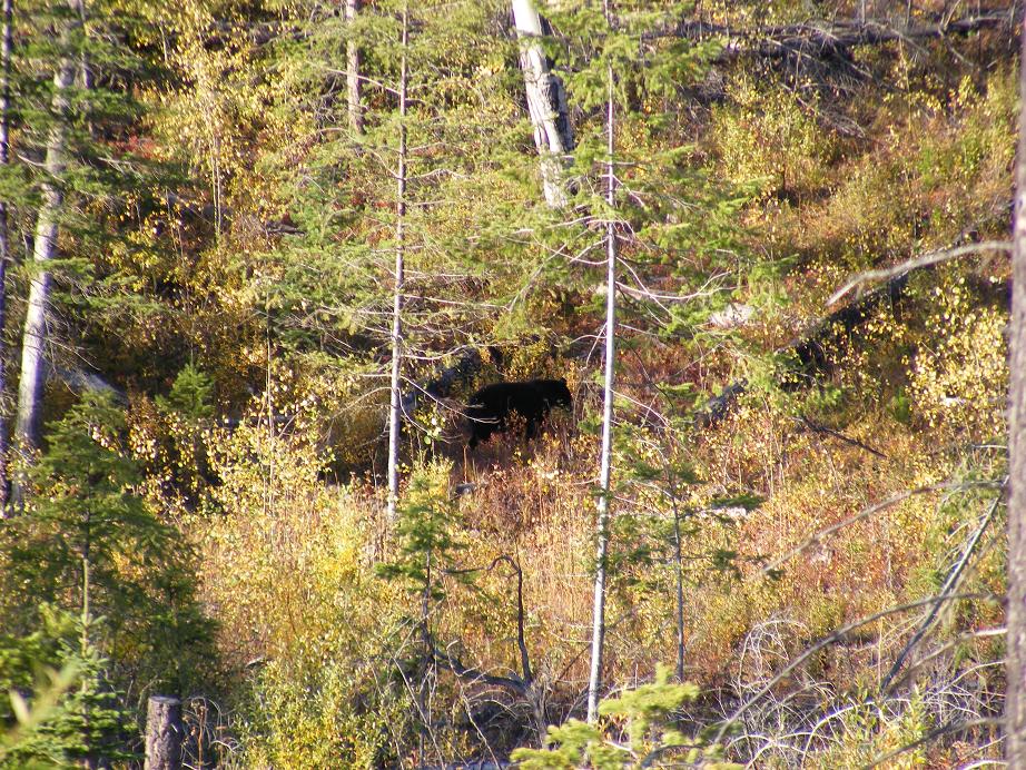 2008_0928huntin0008.jpg