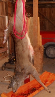 2011 shotgun deer hunt 2011-12-07 001 (184x325).jpg