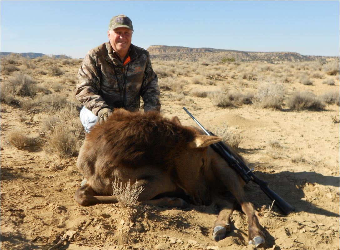 2018 elk 3.jpg