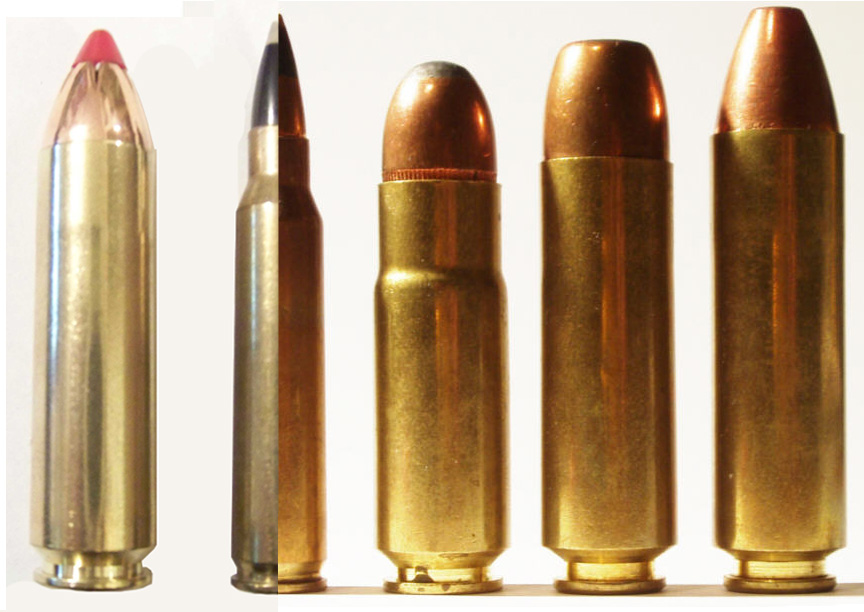 ar big bores .450 bushmaster  .223  .458 socom  .500 beowulf  .499lwr.jpg