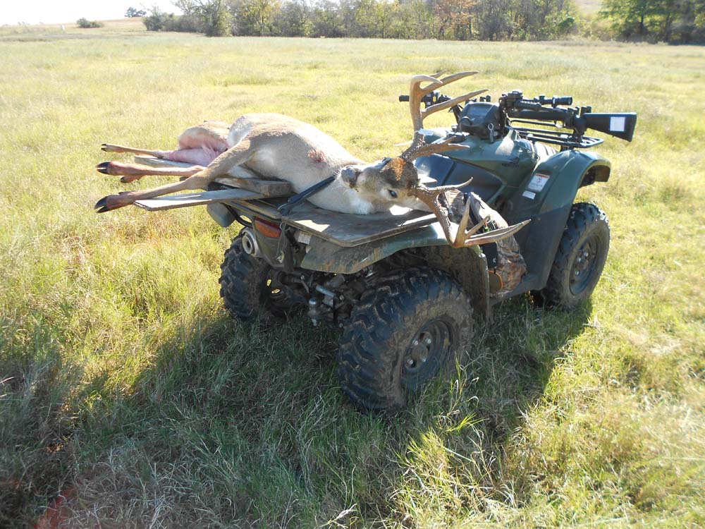 big buck 2 1000.jpg
