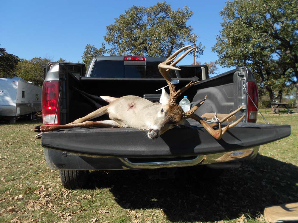 big buck 3 1000.jpg