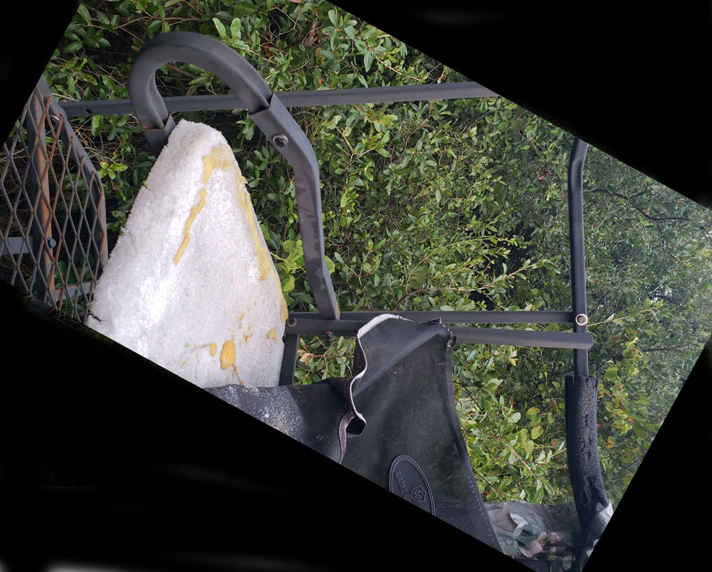 current seat condition lowres.jpg