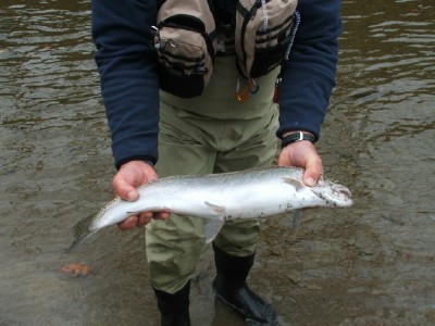 dscf1429.jpg