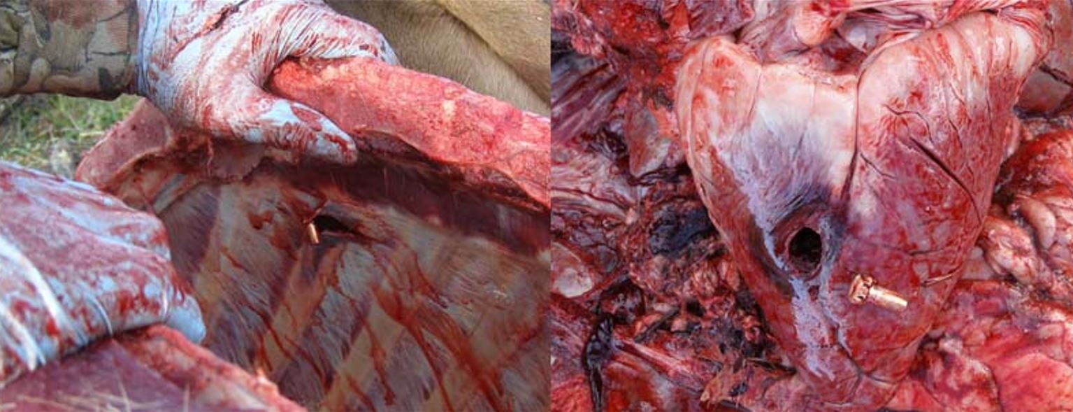 hunting gods smiled upon me.jpg