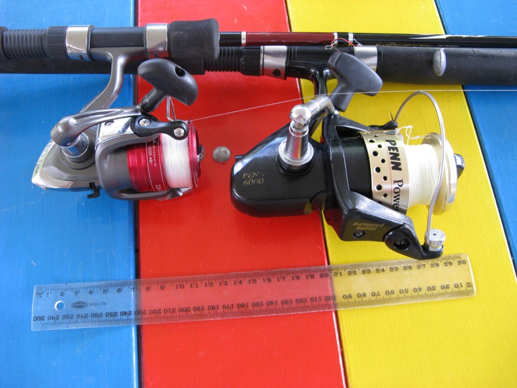 img_0726 (medium).jpg