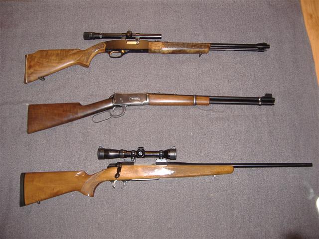 my pictures 268 (small).jpg