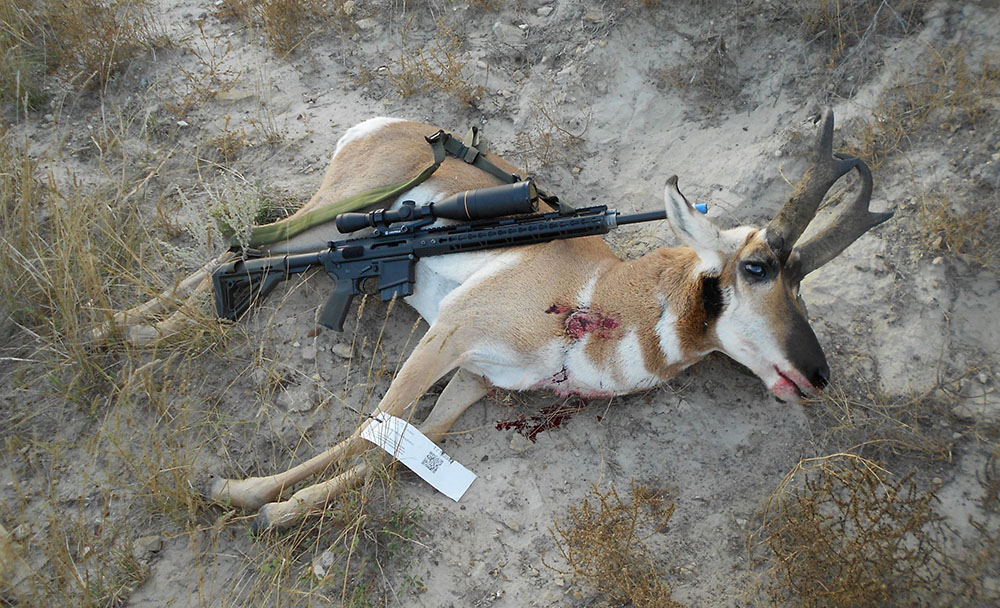 pronghorn taken with 224 valkyrie 78 tsx 1000.jpg