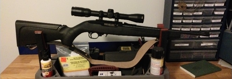ruger-10-22~3.jpg