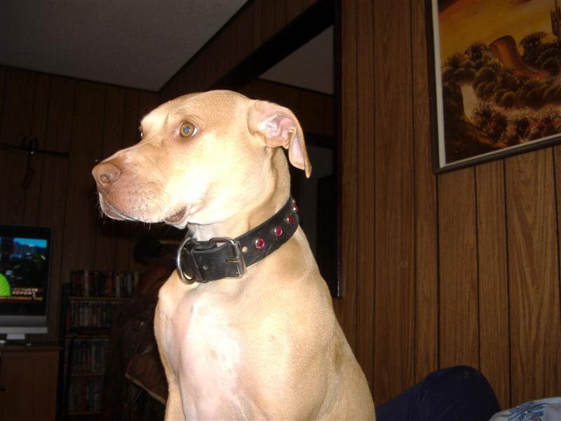 samantha 021 (medium).jpg