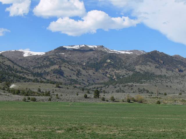 warner_range.jpg